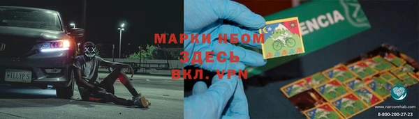 индика Абинск