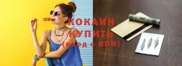 индика Абинск