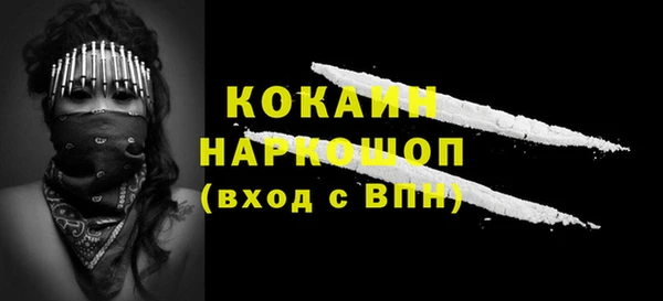 индика Абинск