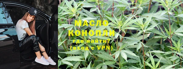 индика Абинск
