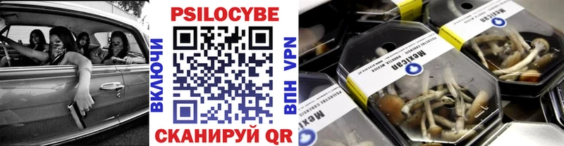 ссылка на мегу маркетплейс  цена   Пойковский  Галлюциногенные грибы MAGIC MUSHROOMS 
